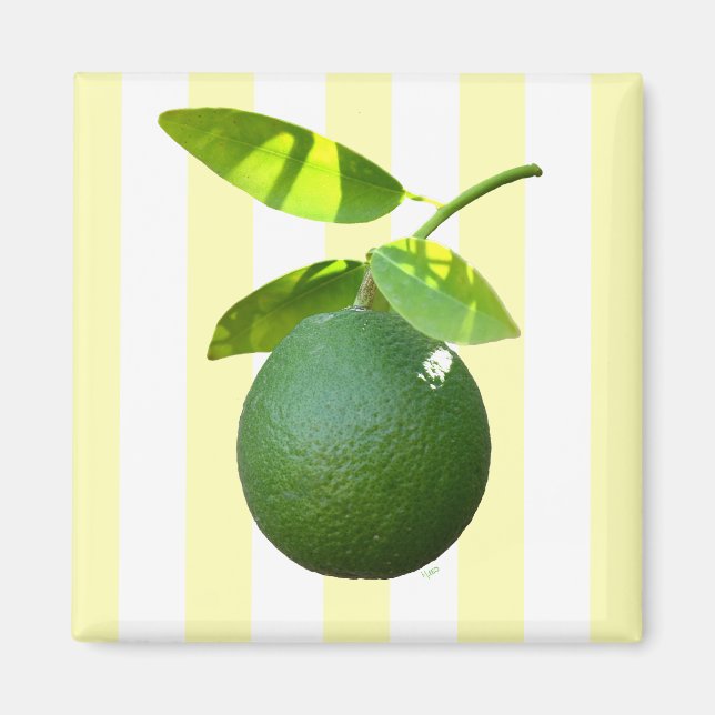 Lime Magnet (Front)