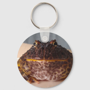 Lime the frog key ring