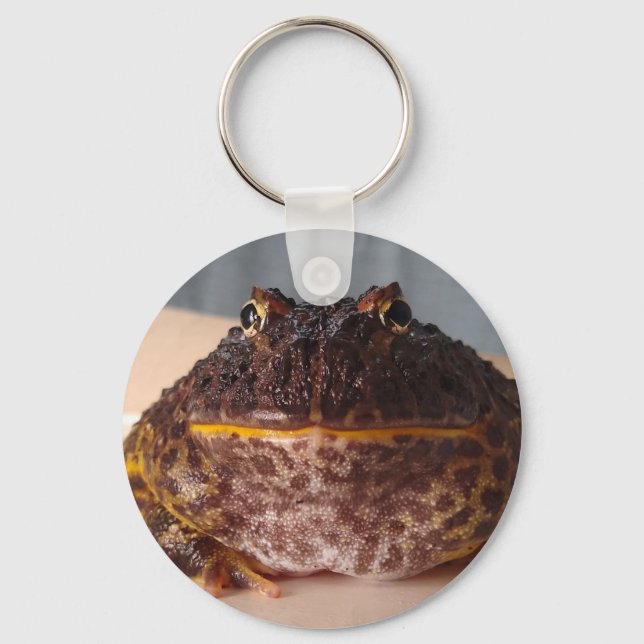 Lime the frog key ring (Front)