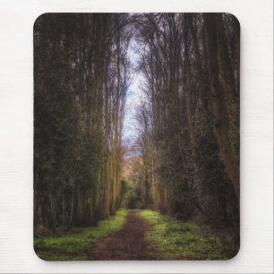 Lime Tree Path Mouse Pad