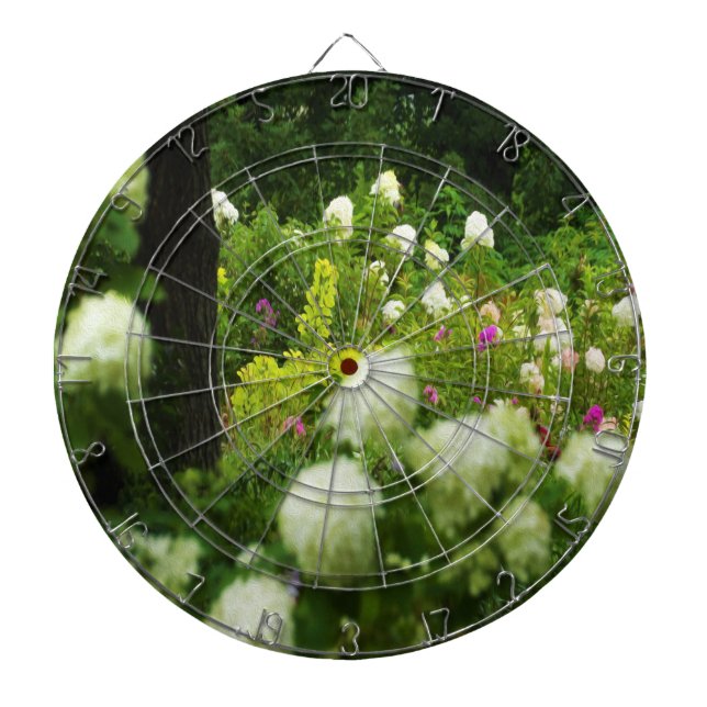 Limelight Hydrangeas in My Rubio Garden Dartboard (Front)