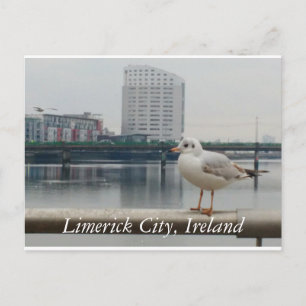 Limerick City, Ireland Postcard