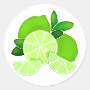 Limes   lime slices   sunny citrus pattern     classic round sticker