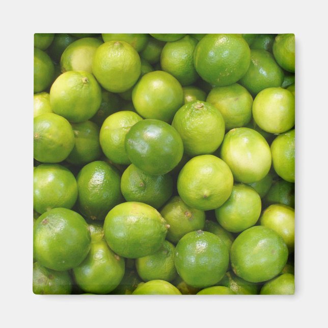 Limes Magnet 01 (Front)