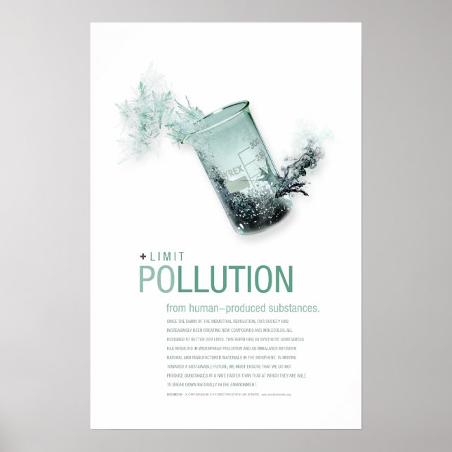 Limit Pollution: Sustainability Principle Posters (Front)