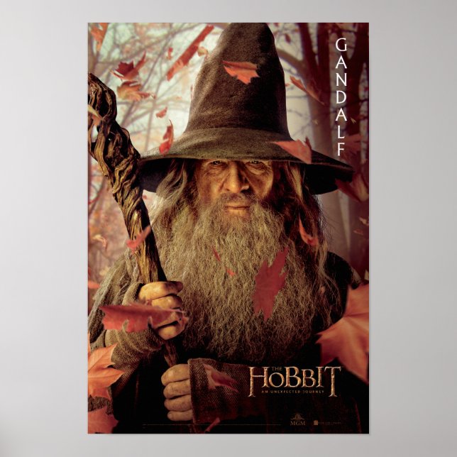 Limited Edition Artwork: Gandalf Poster (Front)