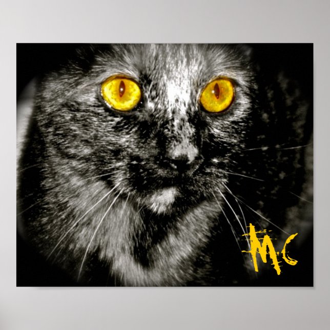 Limited Edition Monkey Cat  Canvas Print (Front)