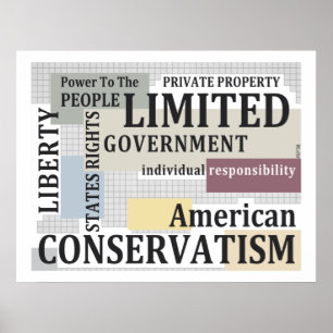 Limited Government Poster