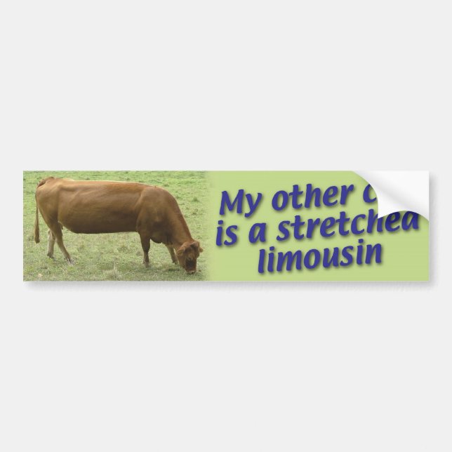 limo bumper sticker (Front)