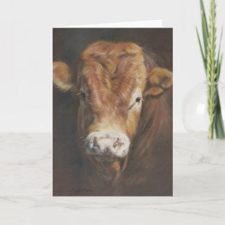 Limousin Bull Card