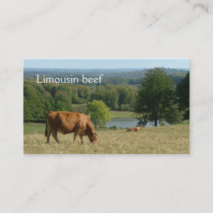 Limousin cows in a rural landscape business card