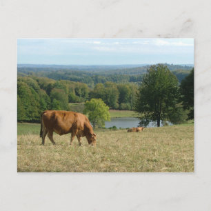 limousin postcard