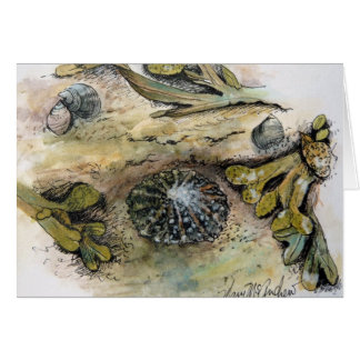 "Limpets, Periwinkle and Bladder Wrack"