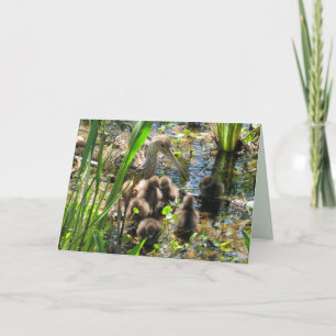 Limpkin Family - Mum and Chicks - Mother's Day Card