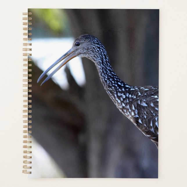Limpkin, The Crying Bird Planner (Front)