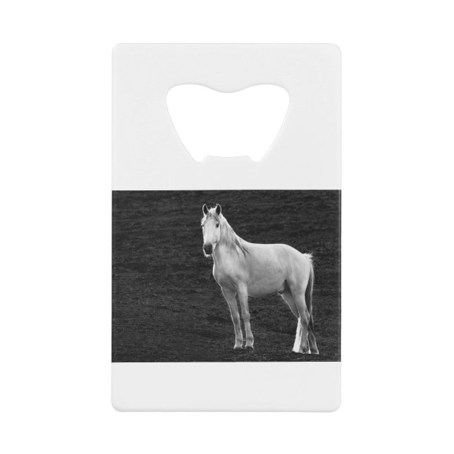 LIN10BW The Stance.tif (Front)