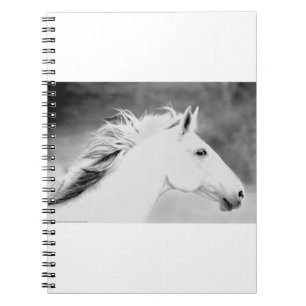 LIN26BW Mane in the Wind.tif Notebook