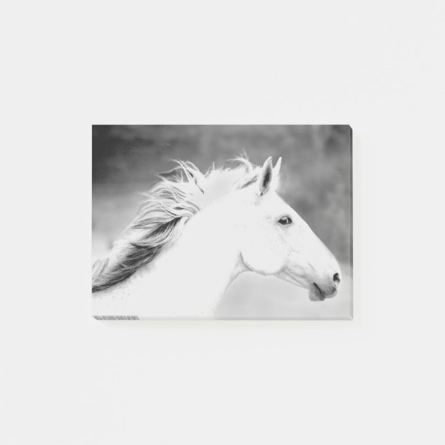 LIN26BW Mane in the Wind.tif Post-it Notes (Front)