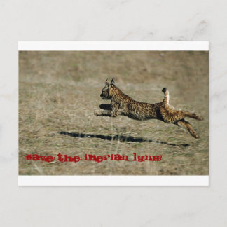 LINCE IBÉRICO, Save the Iberian Lynx! Postcard