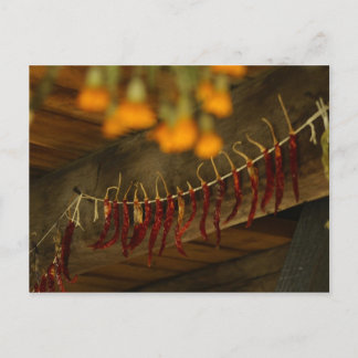 Lincoln Log Cabin Postcard