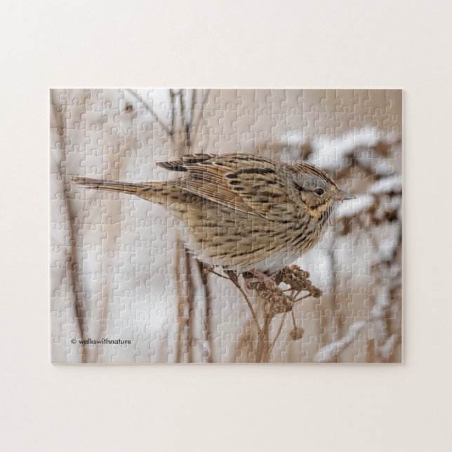 Lincoln's Sparrow on Tansy Jigsaw Puzzle (Horizontal)
