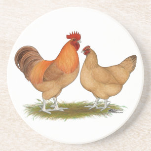 Lincolnshire Buff Chickens Coaster