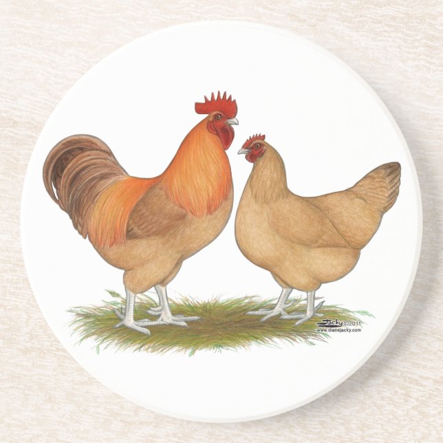 Lincolnshire Buff Chickens Coaster (Front)
