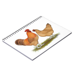 Lincolnshire Buff Chickens Notebook