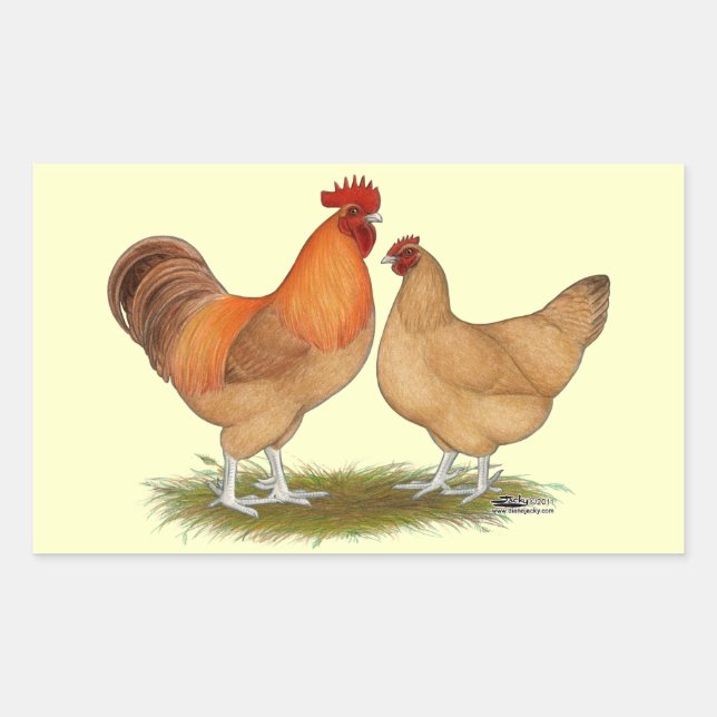 Lincolnshire Buff Chickens Rectangular Sticker (Front)