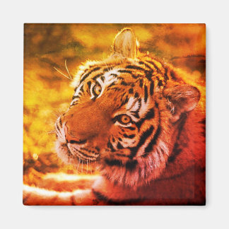 Linda Expressão de Tigre Deitado. Magnet