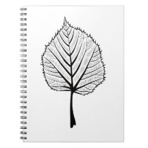 Linden Leaf Outline Art - Botanical Colouring