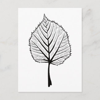 Linden Leaf Outline Art - Botanical Colouring Postcard