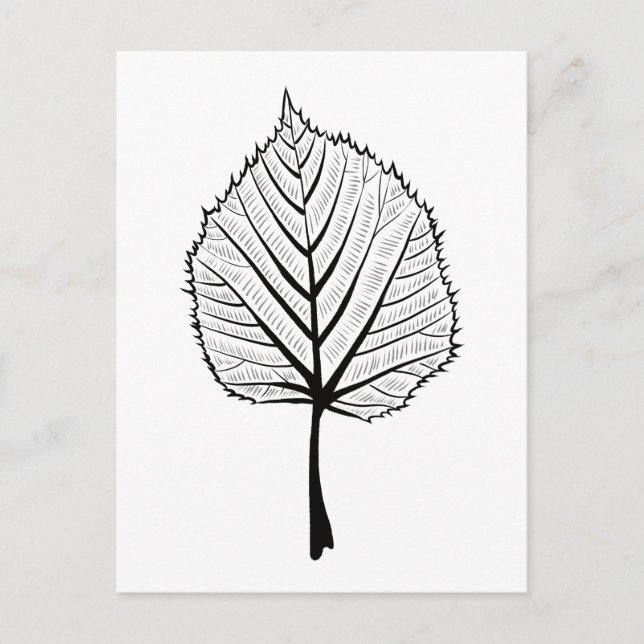 Linden Leaf Outline Art - Botanical Colouring Postcard (Front)