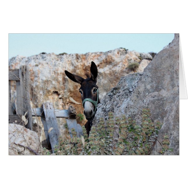 Lindos Donkey (Front Horizontal)