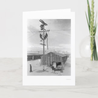 Line Crew at Work in Manzanar 1943 Card