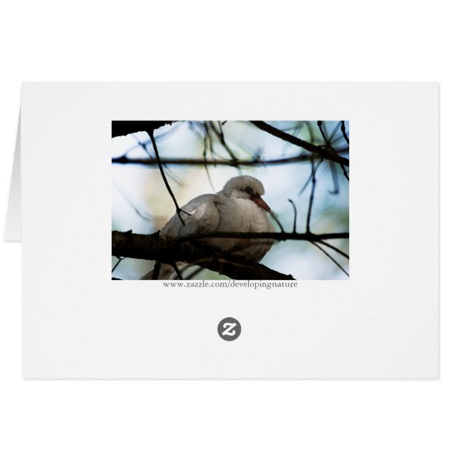 Line Master (Back Horizontal)