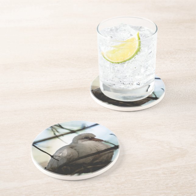 Line Master Coaster (Side)