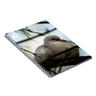 Line Master Notebook