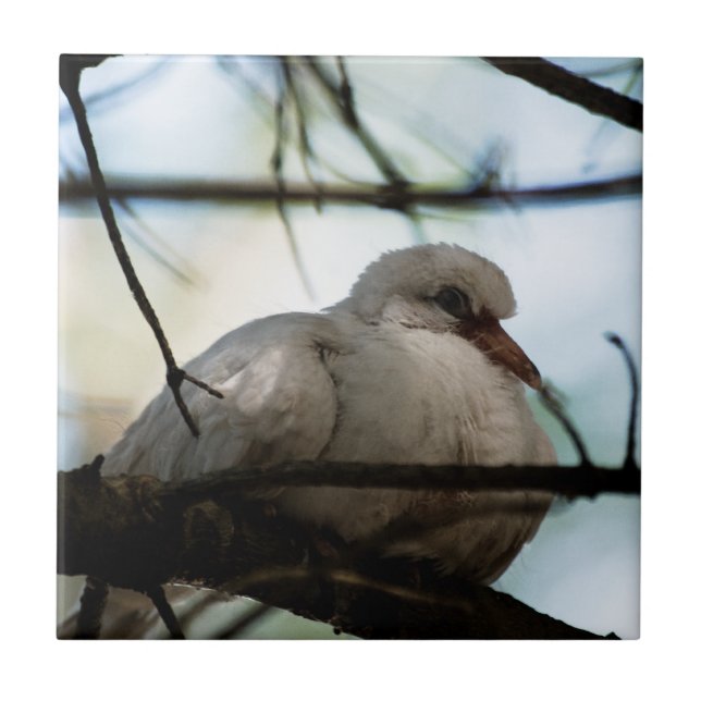 Line Master Tile (Front)