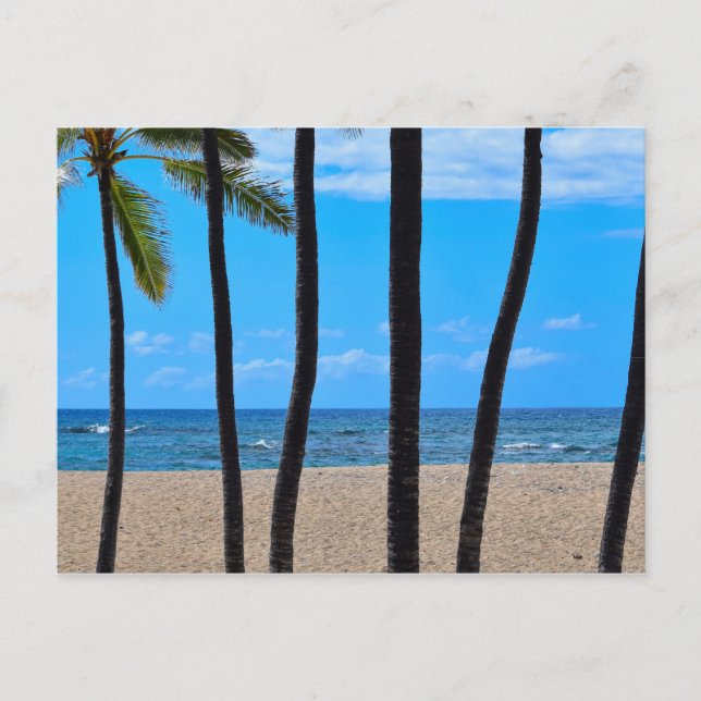 Line of Beach Palms - Hawaii - Postcard (Front)