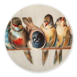 Line of Birds & Dove Ceramic Knob