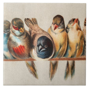 Line of Birds & Dove Ceramic Tile