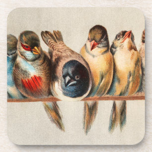 Line of Birds & Dove Coaster