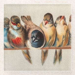 Line of Birds & Dove Glass Coaster