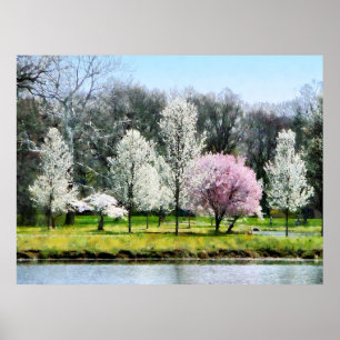 Line of Flowering Trees Poster
