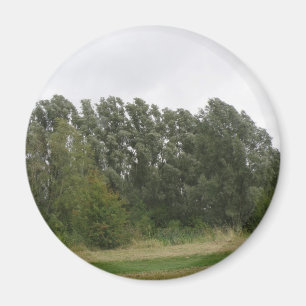 Line of Leaning Trees Landscape Magnet