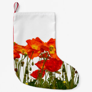 Line of red poppies isolatedart, background, beaut small christmas stocking