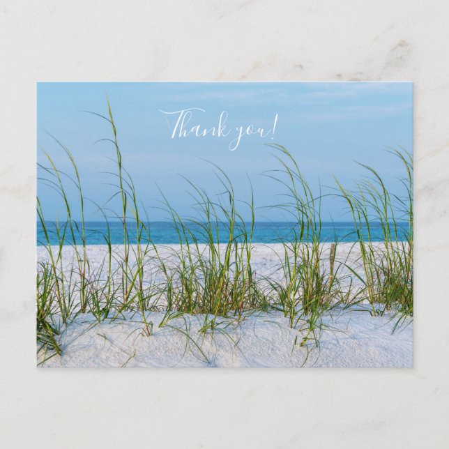 Line Of Sea Oats In White Sand Thank you Postcard (Front)