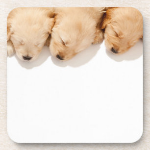 Line of Sleeping Golden Retriever Puppies Coaster