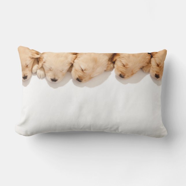 Line of Sleeping Golden Retriever Puppies Lumbar Cushion (Front)